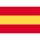 ESP Flag